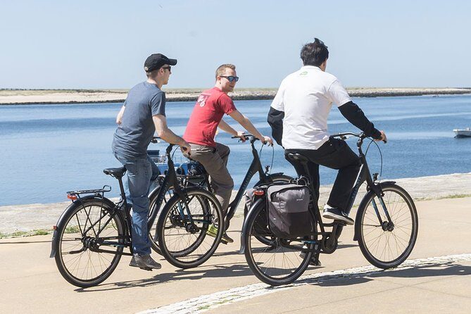 City Bike Rental in Porto - What Makes This Tour Stand Out?