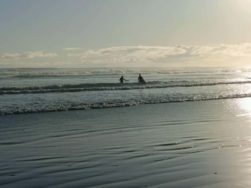 City & Coast & Country  A Relaxed Day Tour from Auckland - Unpacking the Experience: A Detailed Look at the Tour