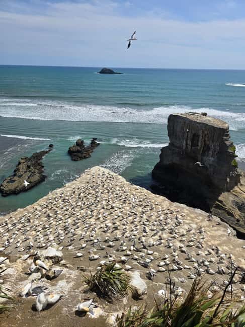City & Coast & Country  A Relaxed Day Tour from Auckland - Who Would Enjoy This Tour Most?