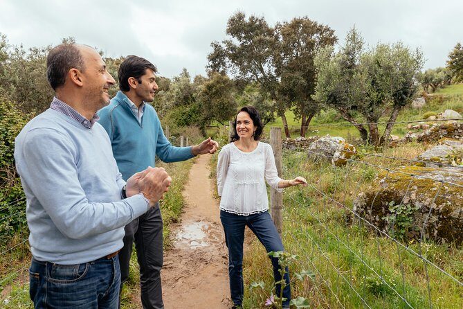 City Explorer: Évora Private Day Trip - Key Points