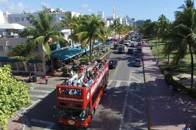 City Half Day Tour of Miami by Bus with Sightseeing Cruise - Transport and Comfort: What to Expect