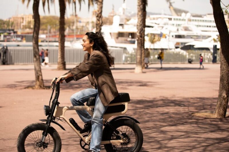 City Highlight Tour on a Luxury (electrical) Fatbike - The Sum Up