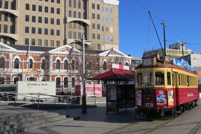 City Highlights by Tesla - 3hrs - Experience the Best of Christchurch with a Private Tesla Tour