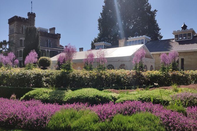 City Highlights, Larnach Castle & Peninsula Views - Exploring Dunedins Charm with the City Highlights, Larnach Castle & Peninsula Views Tour