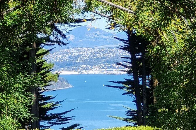 City Highlights, Larnach Castle & Peninsula Views - What Sets This Tour Apart