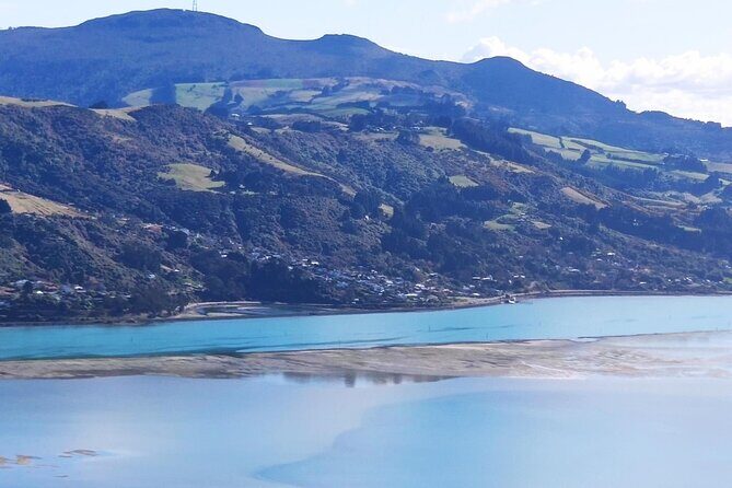 City Highlights, Larnach Castle & Peninsula Views - The Sum Up