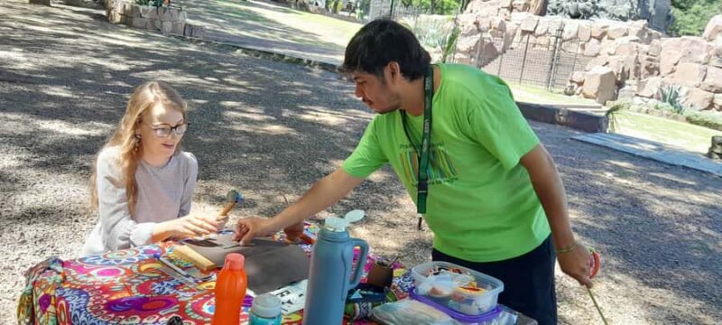 City of Salta: Alpaca and leather handicraft workshop in the open air! - FAQ