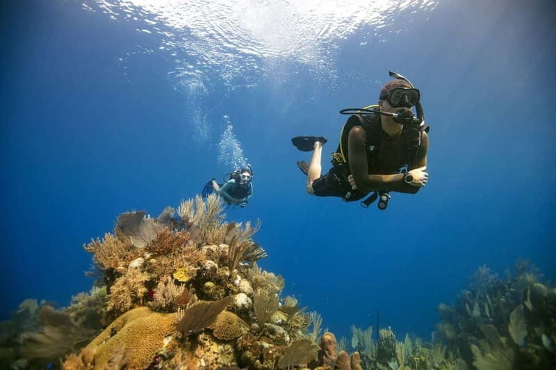 City of Side: Scuba Diving Underwater Museum with Pickup - Authentic Insights from Travelers