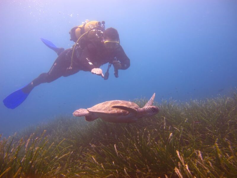 City of Side: Underwater Museum Scuba Diving Visit - A Detailed Look at the Underwater Museum Scuba Tour