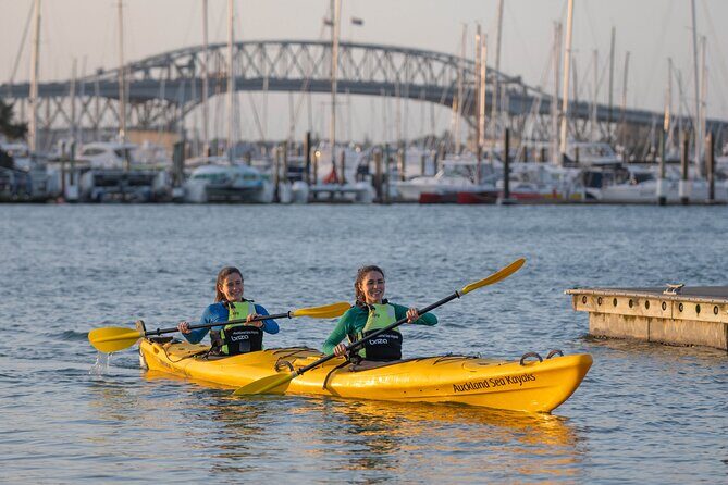 City Scenes Kayak Tour in Auckland - Explore the Waterfront - A Closer Look at the Auckland Waterfront Kayak Tour