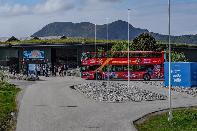 City Sightseeing Alesund Hop-On Hop-Off Bus Tour - Deep Dive into the Itinerary