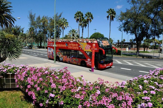 City Sightseeing Las Palmas de Gran Canaria Hop-On Hop-Off Bus Tour - Detailed Breakdown of the Tour Experience