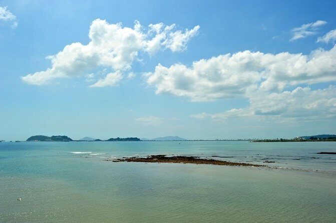 City Sightseeing Panama City Hop-On Hop-Off Bus Tour - An In-Depth Look at the Panama City Hop-On Hop-Off Bus Tour