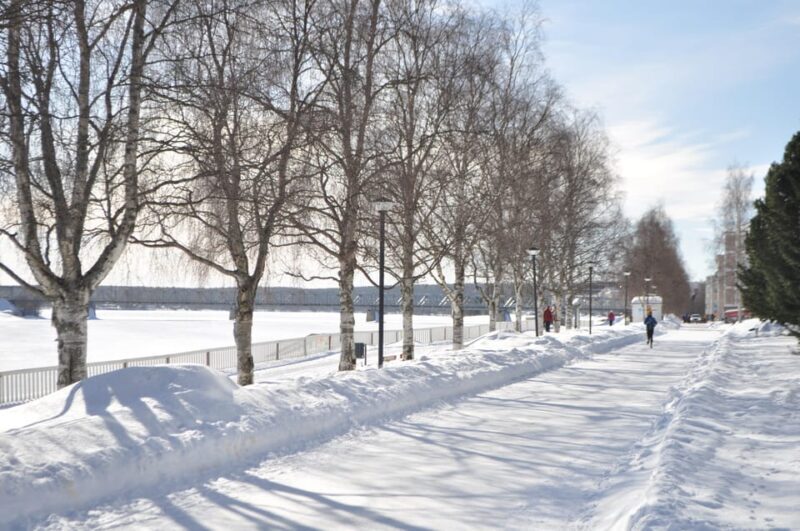 City tour and Santa Claus village visit in Lapland - Exploring Rovaniemi: A Practical Guide to the City Tour and Santa Claus Village Visit