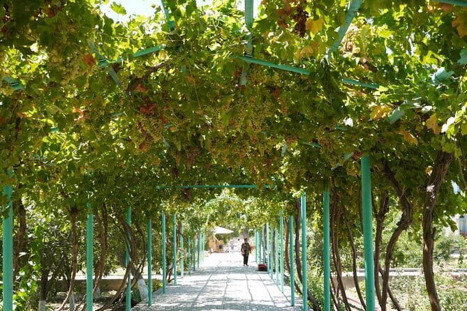 City Tour Around Bukhara - FAQ