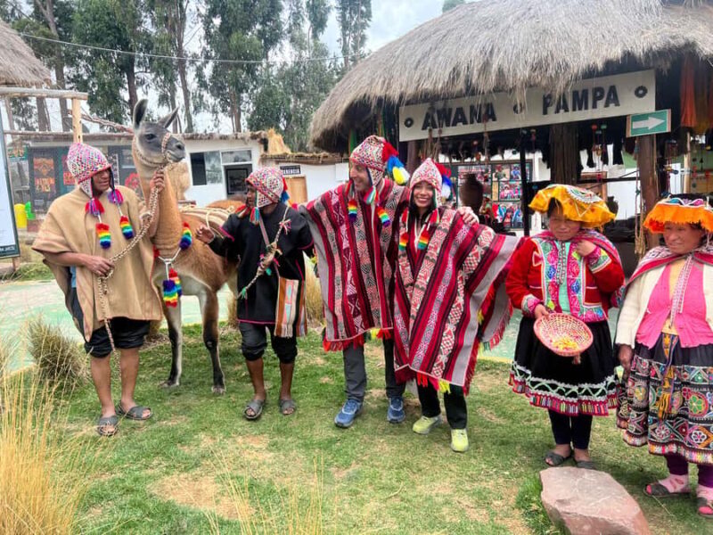 City Tour Cusco & Camelids Tour & Pachamanca - Who will love this tour?
