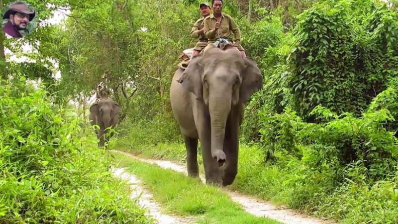 City Tour: Discover Aluthgama with Thrilling Adventures - A Closer Look at the Itinerary