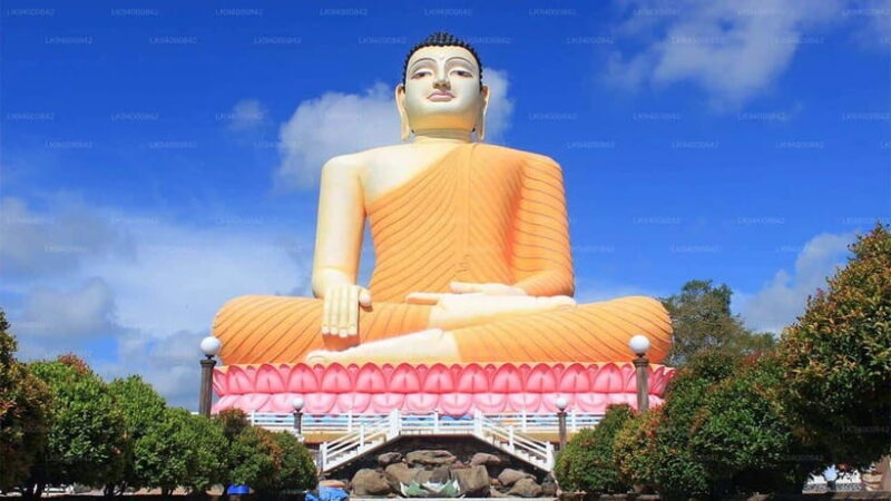 City Tour: Discover Aluthgama with Thrilling Adventures - Authentic Insights from Travelers