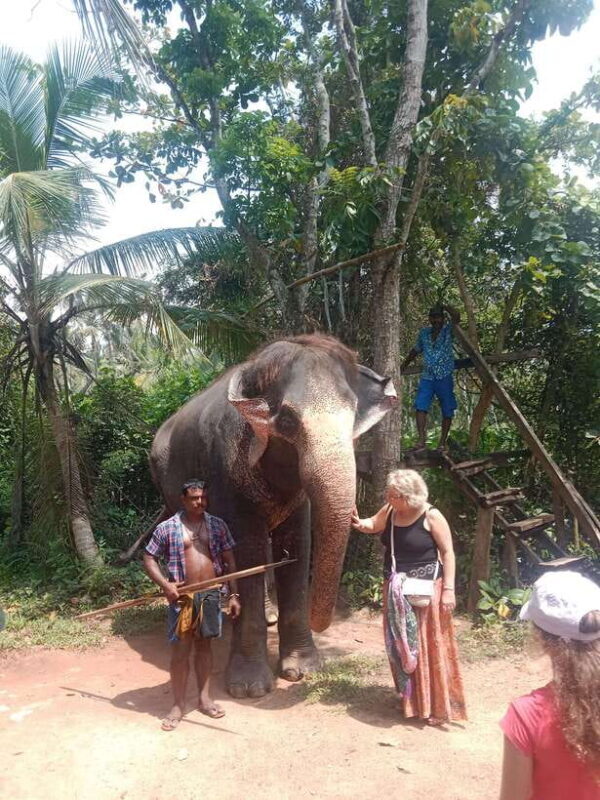 City Tour: Discover Aluthgama with Thrilling Adventures - FAQs