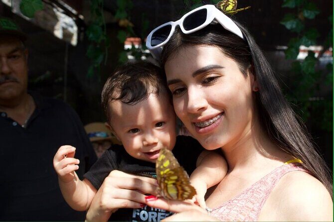 City tour express; butterfly, tequila, and beach an ecological day - FAQs