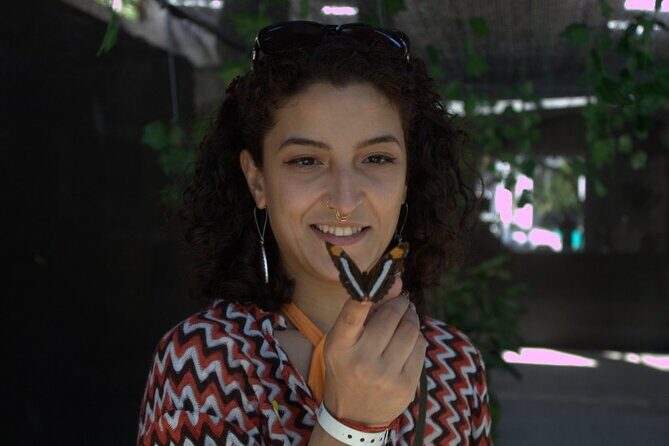 City tour express; butterfly, tequila, and beach an ecological day - Final Thoughts