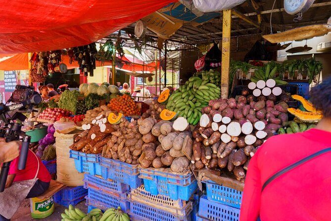 City Tour & Half-Day Safari Experiences - A Closer Look at the Dominican Cultural Safari