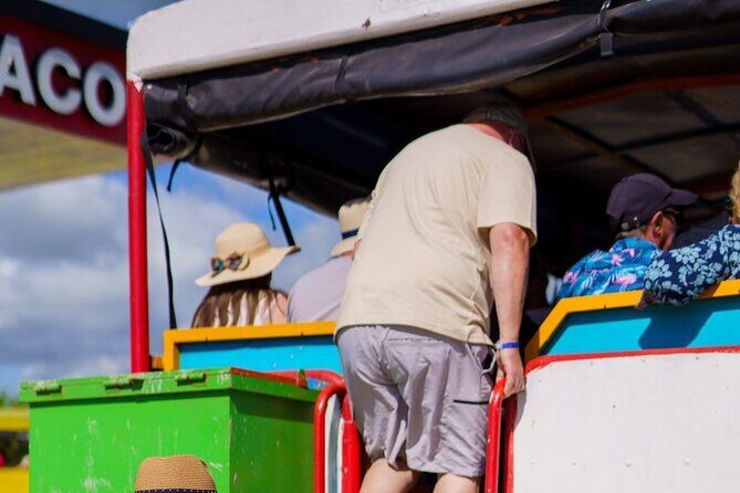 City Tour & Half-Day Safari Experiences - Who Should Consider This Tour?