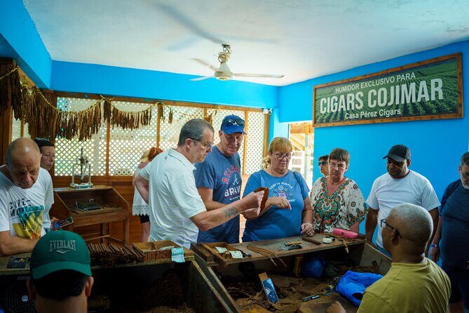 City Tour & Half-Day Safari Experiences - Frequently Asked Questions