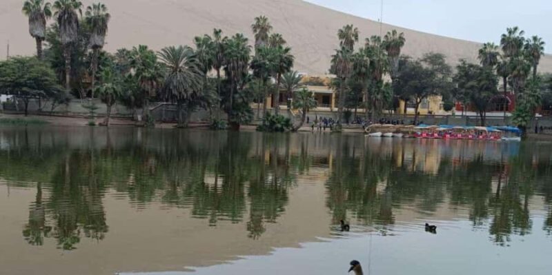 City Tour in Ica - A Closer Look at the Itinerary and Experiences