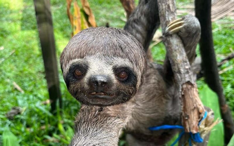 City tour in Iquitos full day with lunch included - An In-Depth Look at the Iquitos City Tour