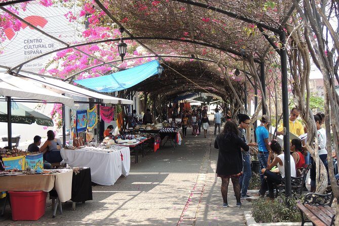 City Tour in Panama from the Airport Stopover with Canal - Authentic Reviews from Travelers