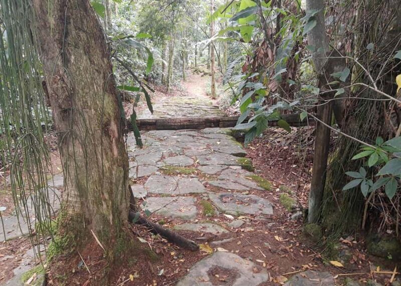CITY TOUR IN PARATY Private Historical Center & Colonial Art - Key Points