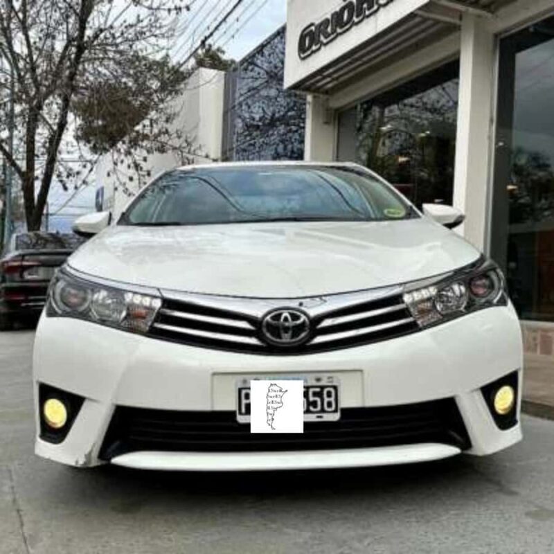 City tour of Buenos Aires, everything you need to know - Exploring Buenos Aires with a Local Guide