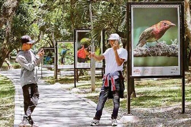 CITY TOUR OF CALI | Discover with local experts Cali - Authentic Experiences and Practical Details