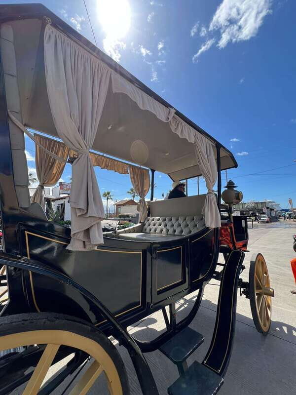 City tour on electric horse wagon. - FAQ