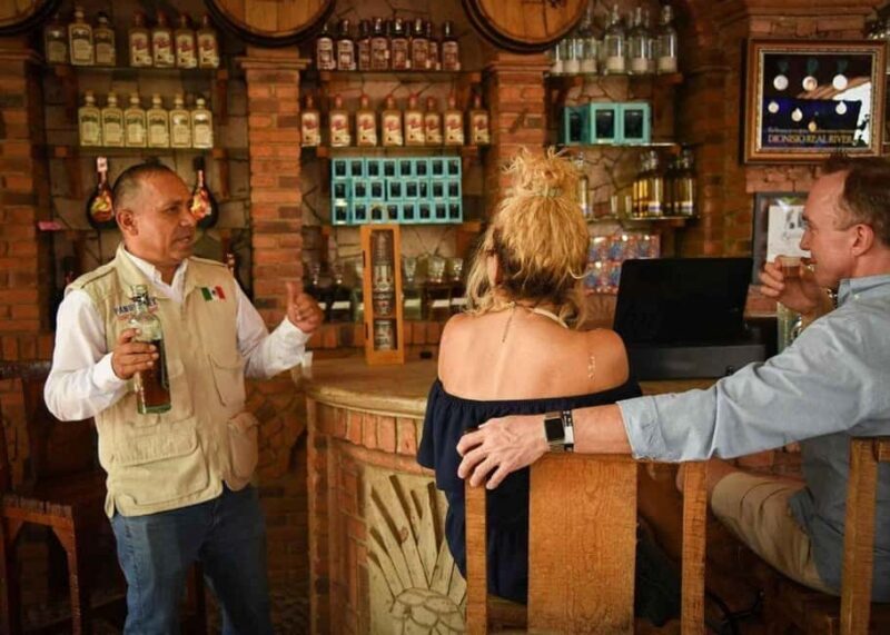 City Tour to Cabo San Lucas and Transparent boat to the Arch - Why We Recommend This Tour