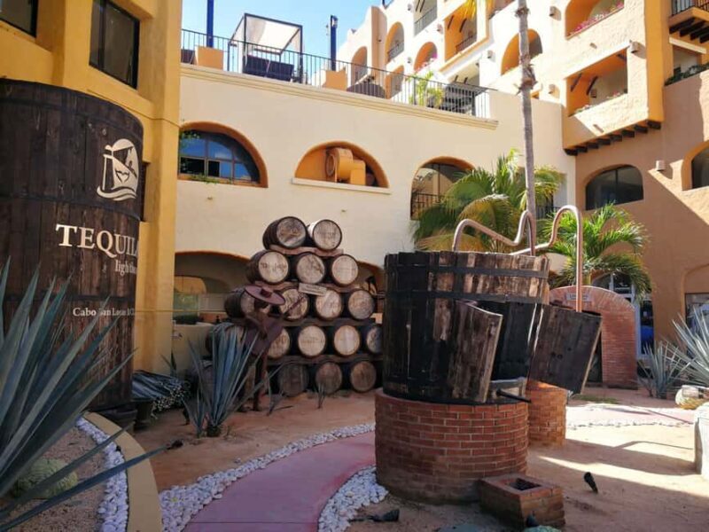 City Tour to Cabo San Lucas and Transparent boat to the Arch - Authenticity and Authentic Experiences