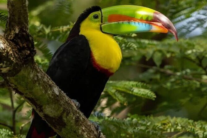 CITY TOUR to the Old Town ,Canal and 360° view from POIN - Engaging Introduction