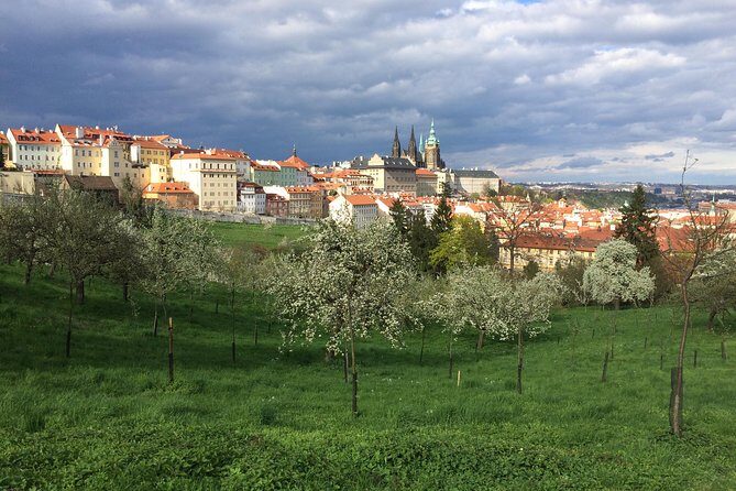 City tour to the top 10 attractions in Prague private tour - Key Points