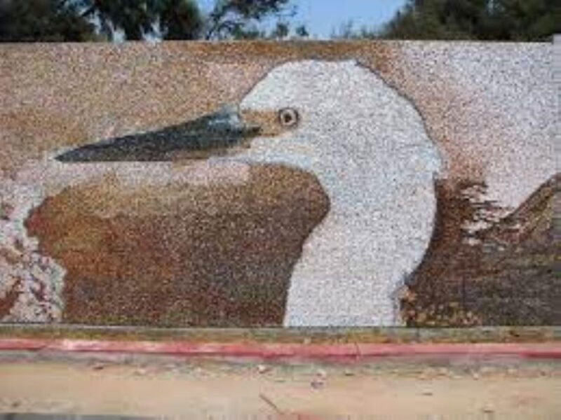 City Tour Trujillo |Panoramic bus| - A Closer Look at the Trujillo Panoramic Bus Tour