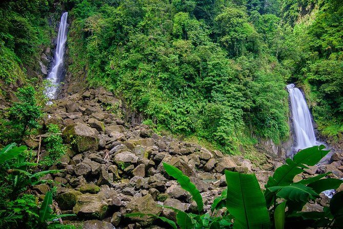 City Tour with Botanical Gardens, Trafalgar Falls & Morne Bruce - FAQ