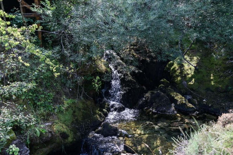 City Trip Struga and Vevchani from Ohrid and Struga - A Detailed Look at the Tour Experience