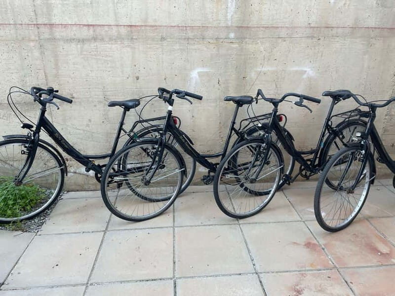 CITYBIKE/ easy Classic FOR 24 hours with Free delivery! - A comprehensive look at the CITYBIKE/ Easy Classic for 24 hours with Free Delivery in Sardinia