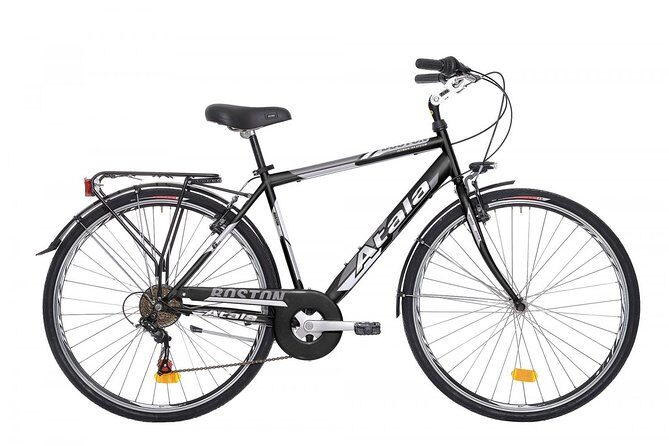 CityBike Rental in Palermo - What Makes This Bike Rental Stand Out?