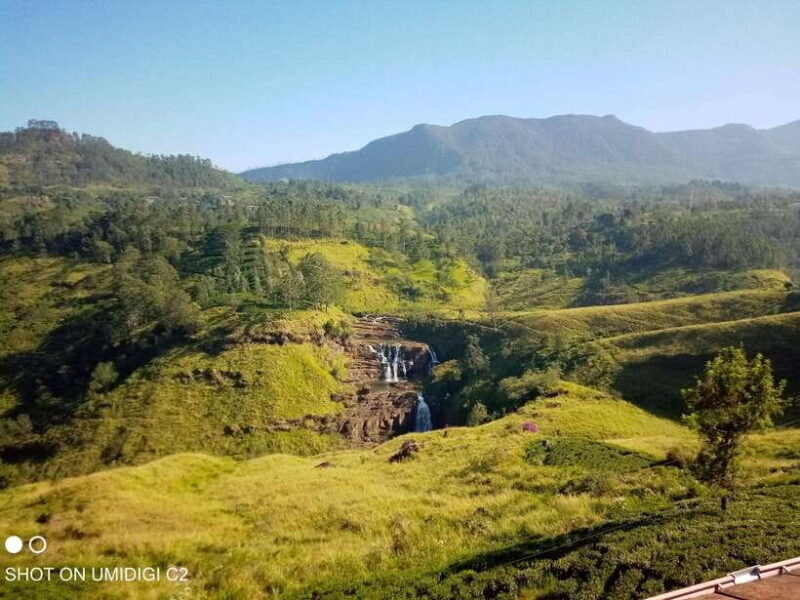 Cityscape Safari: Five Days of Discovery - The Value of Guided Comfort