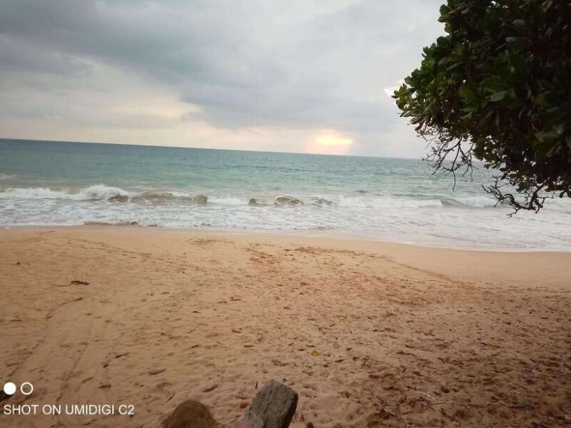 Cityscape Safari: Five Days of Discovery - Who Is This Tour Best For?