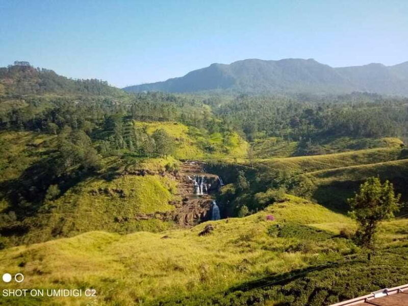 Cityscape Safari: Five Days of Discovery - FAQ