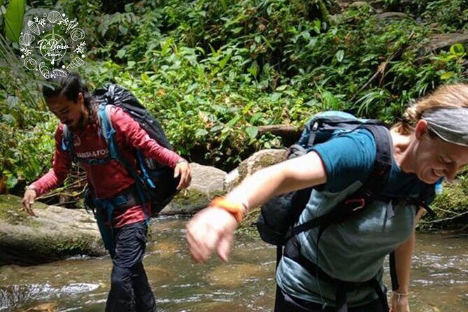 Ciudad Perdida "Teyuna" 4 Days Tracking Tour - The Sum Up: Is the Ciudad Perdida "Teyuna" Tour Right for You?