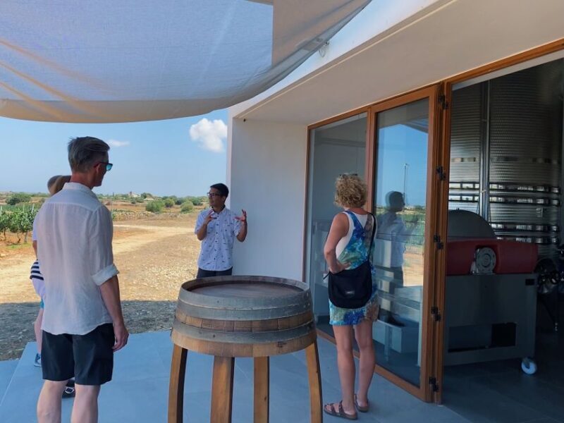 Ciutadella de Menorca: Family Winery Tour with Wine Tasting - The Value Proposition