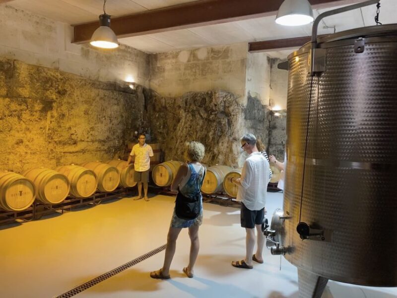 Ciutadella de Menorca: Family Winery Tour with Wine Tasting - Who Will Love This Tour?